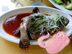 清蒸老虎斑-真味馆(侨港碧海银滩店)