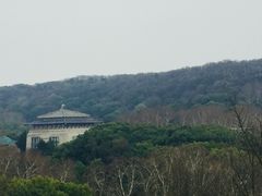-武汉大学-樱园