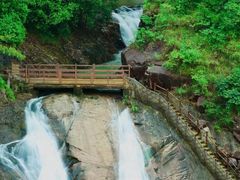 -广州白江湖森林公园