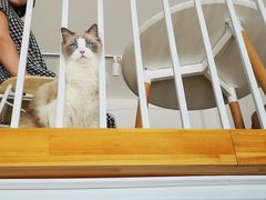 -隹木咖啡馆(宝龙广场店)