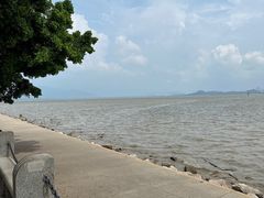-深圳湾公园(南山区)