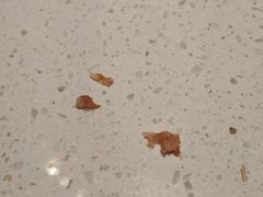 鸭掌的骨头-海底捞大排档火锅(打浦路店)