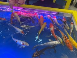 -孩子王(永川万达店)