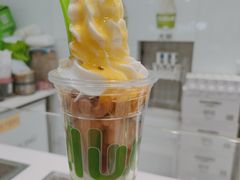 莎奴姆-Salud撒露欧洲冻酸奶(蓝色港湾店)
