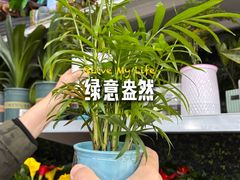 -大润发(康桥店)