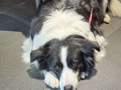 -Onirii Coffee(长乐路店)