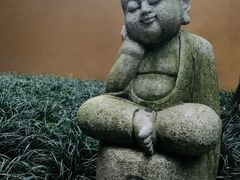 -缙云山景区