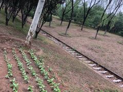 -永定河休闲森林公园