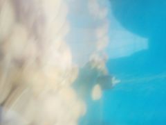 -雅逸居海鲜小厨