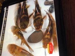 三角锋-三只耳火锅(宽窄巷子店)