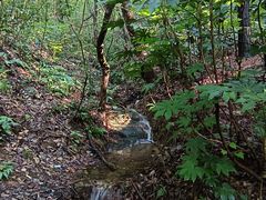 -杭州半山国家森林公园