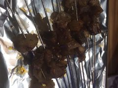 -鼎原力量东北吊炉烧烤(临河街店)