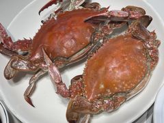 -北塘海鲜·天津菜(大光明桥旗舰店)