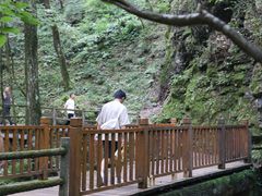 -牛背梁国家森林公园