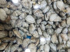 -鑫渔港海鲜本地菜·山海关浑锅(东戴河店)
