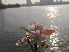 -南昌青山湖风景区