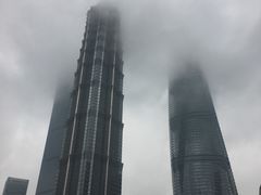 -上海柏悦酒店·世纪100牛排馆