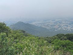 -紫金山山顶公园