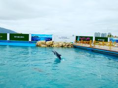 -三亚海昌梦幻海洋不夜城