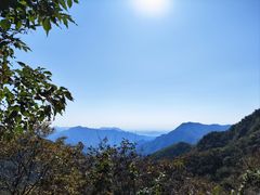 -大岭沟猕猴桃谷风景区