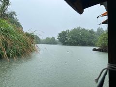 -西溪国家湿地公园