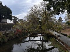 -和顺古镇