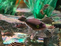 -沈阳海洋探索中心