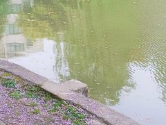 -西南交通大学(九里校区)