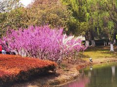 -白塘生态植物园