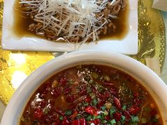 -龙翔山庄雷鸡肉(青城后山泰安古镇店)