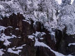 -四明山国家森林公园