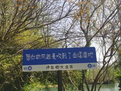 -西溪国家湿地公园