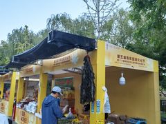 -西海子公园