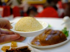 -九花山烤鸭店