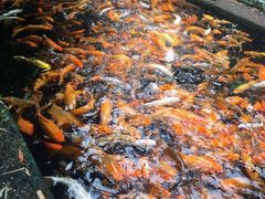 景点-宝墨园景区