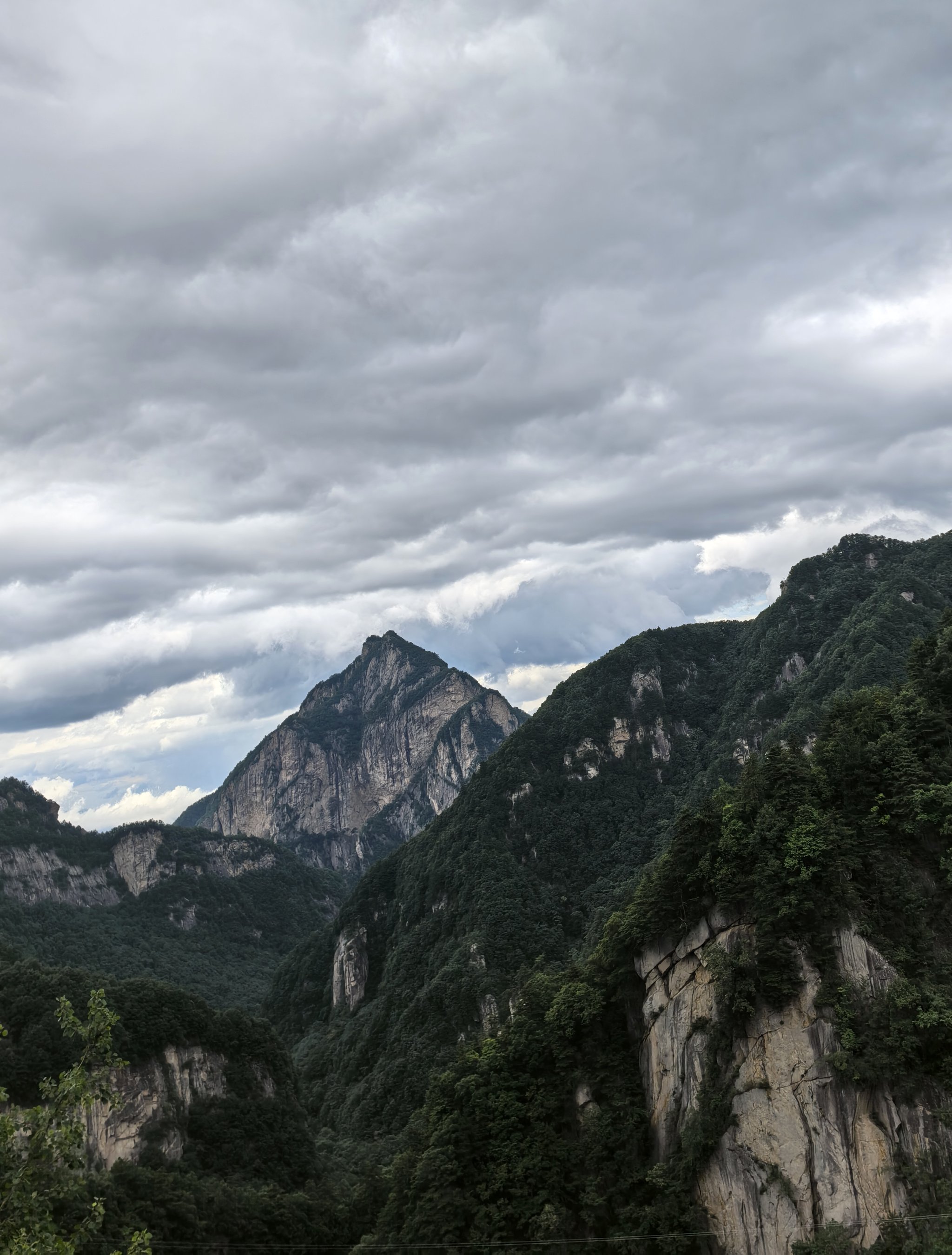 栾川避暑之龙峪湾森林氧吧