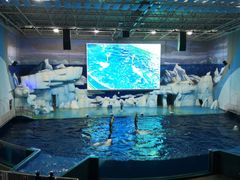 -福州罗源湾海洋世界旅游区