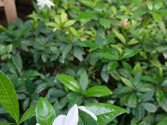 -林间山庄