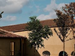 -盐城丹顶鹤湿地生态旅游区