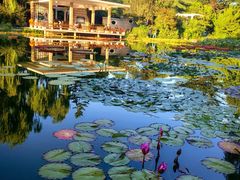 -国家植物园南园