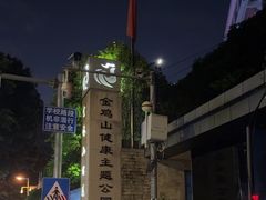 -金鸡山公园