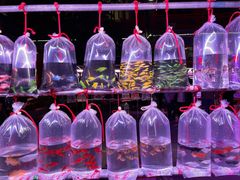 -华声天桥民俗文化园