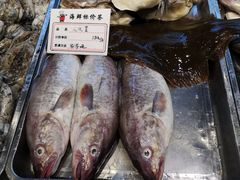 -三合园水饺·青岛菜(五四广场店)