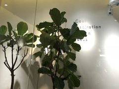 -喜茶(中山利和新地店)