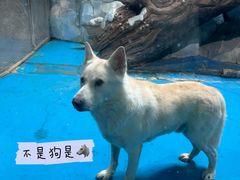 -泉城欧乐堡海洋极地世界