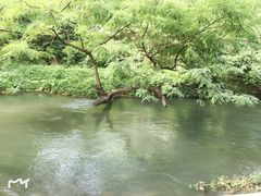 -贵阳市花溪国家城市湿地公园