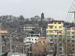 -高尔山公园