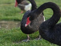 -蓝地时尚庄园(北京清河营地铁站店)