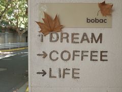 -BOBAC
