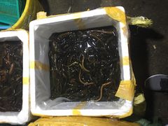 -福田农产品批发市场有限公司蔬菜交易区